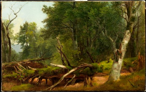 Asher Brown Durand - Forest Scene in the Catskills - 77.93 - Detroit Institute of Arts. Free illustration for personal and commercial use.