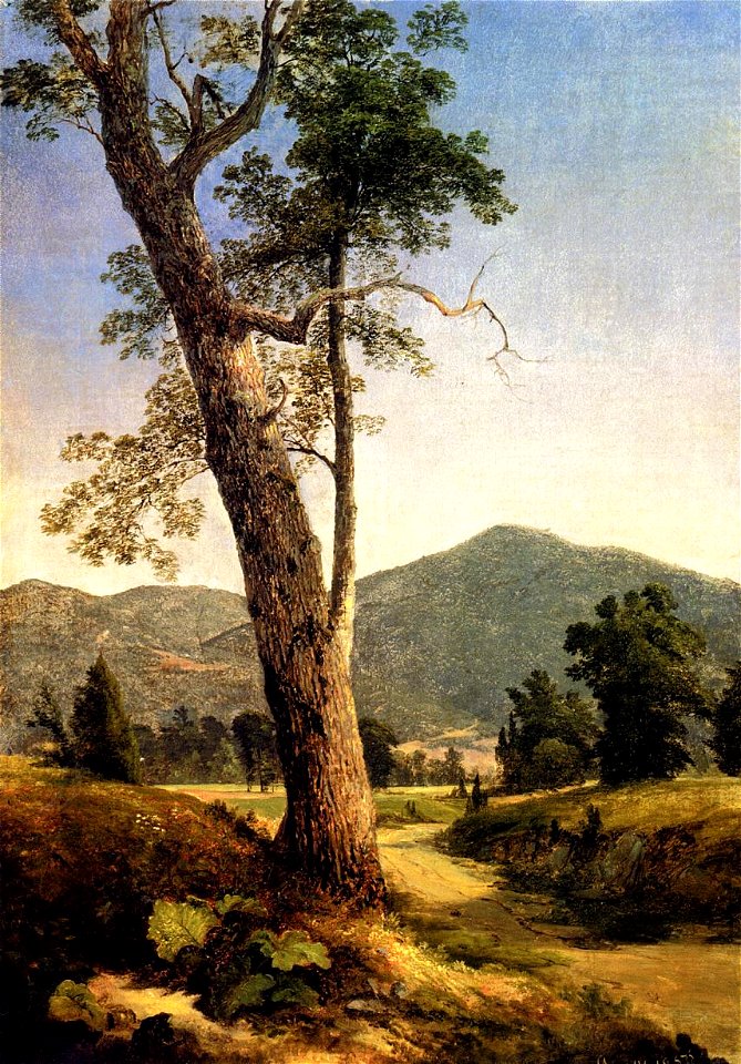 AsherDurand-Landscape Beyond Tree 1859