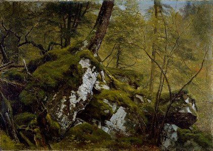 AsherDurand-Study Woodland Interior