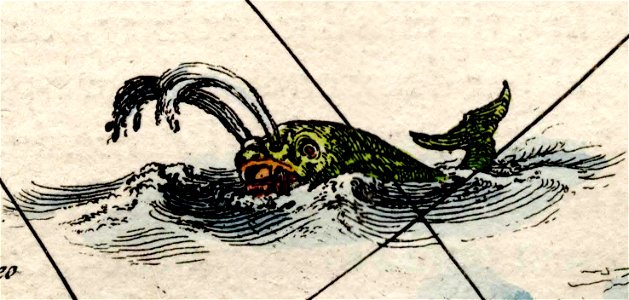 Asia noviter delineata - Whale