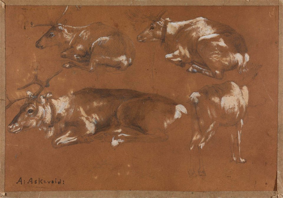 Anders Askevold - Study of four Reindeers - NG.M.01280b - National Museum of Art, Architecture and Design