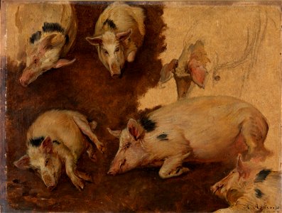 Anders Askevold - Study of six Pigs - NG.M.00520b - National Museum of Art, Architecture and Design