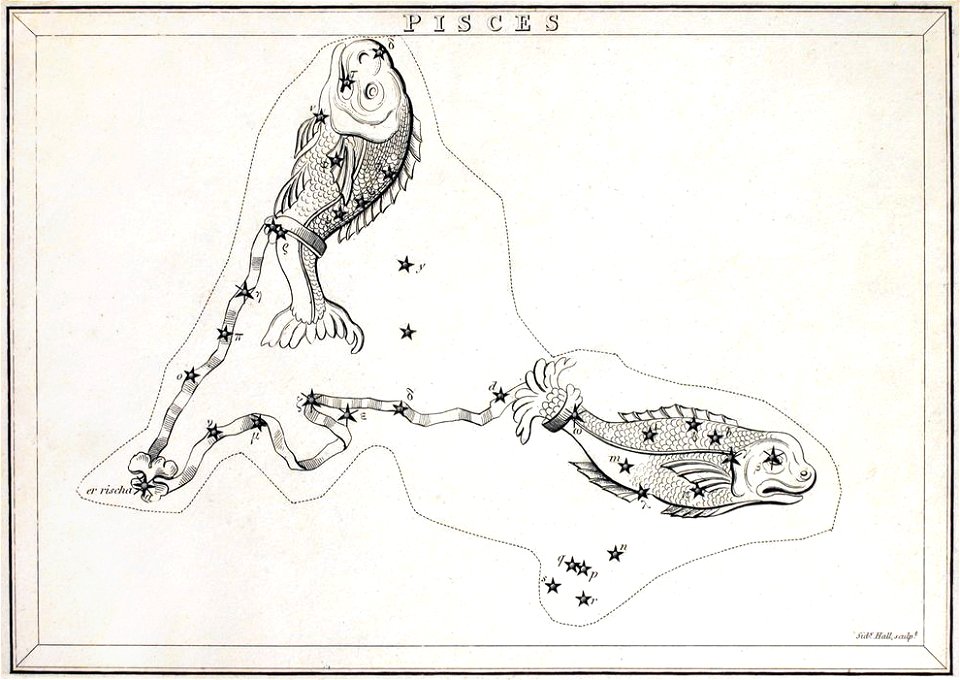 Aspin-1825-Pisces