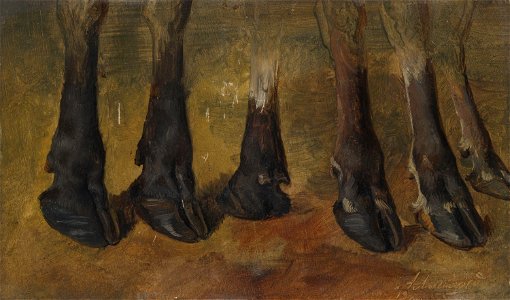 Anders Askevold - Study of six hooves - NG.M.00520a - National Museum of Art, Architecture and Design. Free illustration for personal and commercial use.