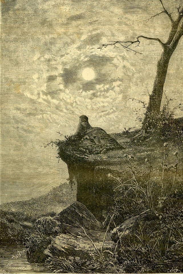 Aspettazione, quadro di Alfonso Simonetti