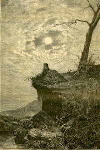 Aspettazione, quadro di Alfonso Simonetti