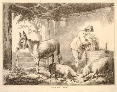 Ass & Pigs (BM 1872,0511.253)
