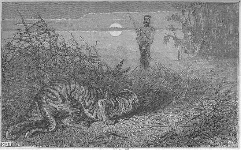 Assollant - Aventures merveilleuses mais authentiques du capitaine Corcoran, I (page 180 crop)