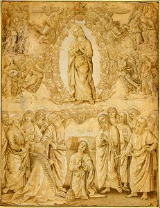 Assumption of Mary perugino drawing
