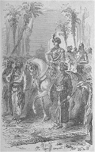 Assollant - Aventures merveilleuses mais authentiques du capitaine Corcoran, I (page 276 crop)