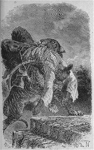 Assollant - Aventures merveilleuses mais authentiques du capitaine Corcoran, I (page 82 crop)