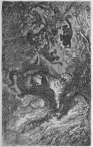 Assollant - Aventures merveilleuses mais authentiques du capitaine Corcoran, I (page 42 crop)