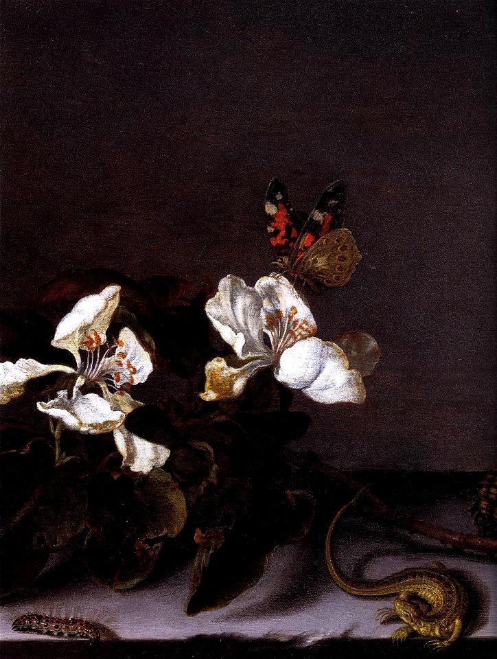 Balthasar van der Ast - Still-Life with Apple Blossoms (detail) - WGA1037