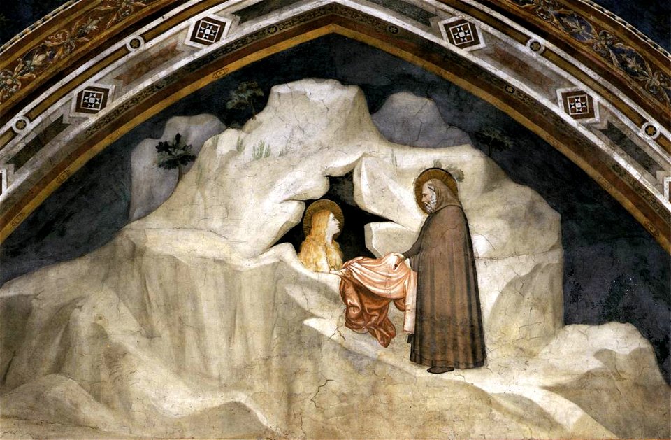 Assisi zosimus