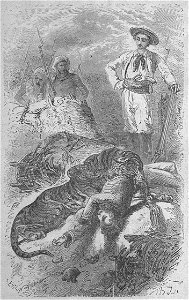 Assollant - Aventures merveilleuses mais authentiques du capitaine Corcoran, I (page 246 crop)