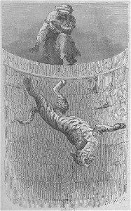 Assollant - Aventures merveilleuses mais authentiques du capitaine Corcoran, I (page 304 crop)