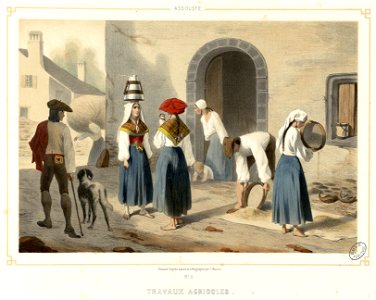 Assouste - Travaux agricoles - Fonds Ancely - B315556101 A MONTAUT 020