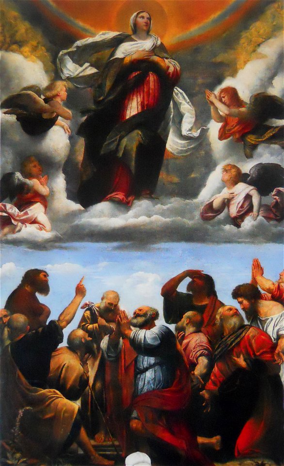 Assunzione della Vergine (Moretto Duomo vecchio)