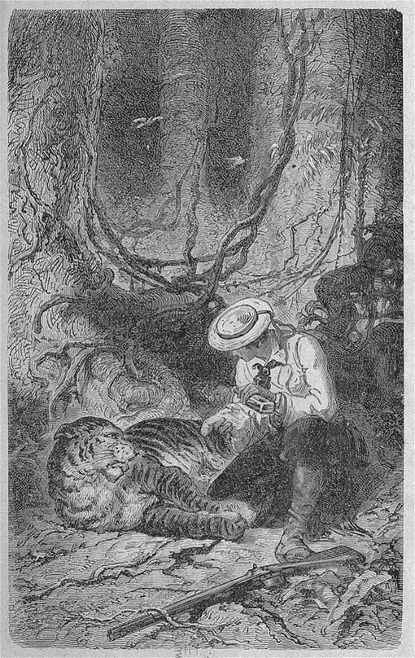 Assollant - Aventures merveilleuses mais authentiques du capitaine Corcoran, I (page 48 crop)