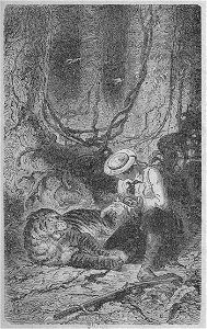 Assollant - Aventures merveilleuses mais authentiques du capitaine Corcoran, I (page 48 crop)