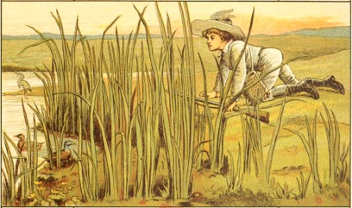 At Home 1881 (Wild Ducks)