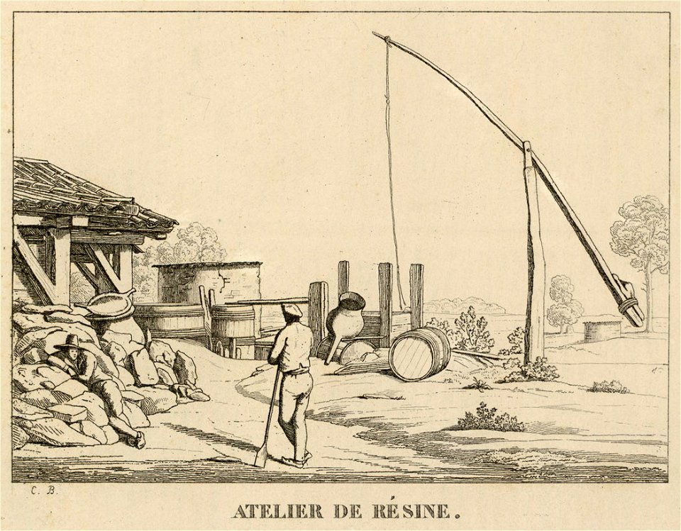 Atelier de résine - Fonds Ancely - B315556101 A PELERIN 040