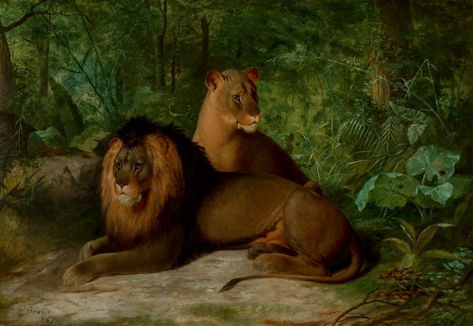 Lion and Lioness by James Henry Beard