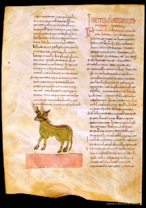 Beati in Apocalipsin libri duodecim - page 237
