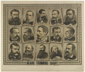 Beard trimming chart LCCN2003680577