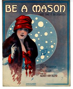Be a mason take it by degrees 1916