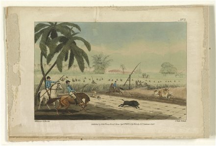 Beating sugar-canes for a hog) - Williamson & Howitt ; J. Clark etched LCCN2013646778