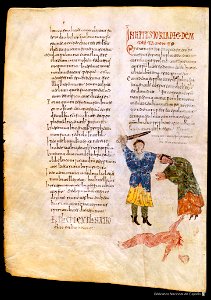 Beati in Apocalipsin libri duodecim - page 218