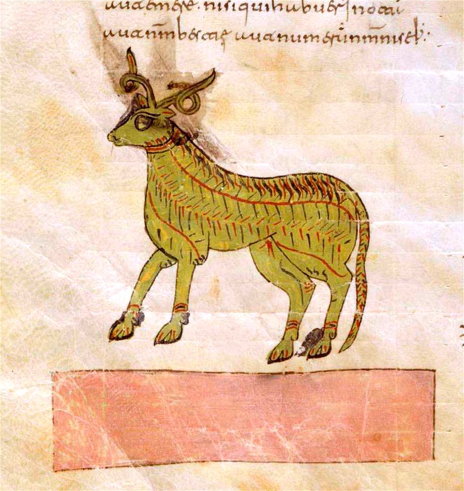 Beati in Apocalipsin libri duodecim - page 237 crop
