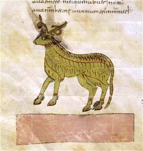Beati in Apocalipsin libri duodecim - page 237 crop