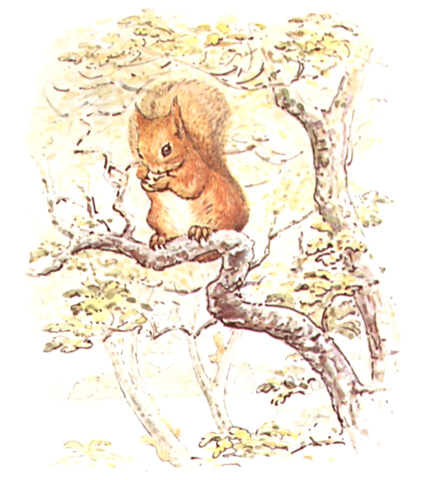 Beatrix Potter Squirrel Nutkin