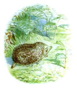 BeatrixPotter MrsTiggyWinkle-27