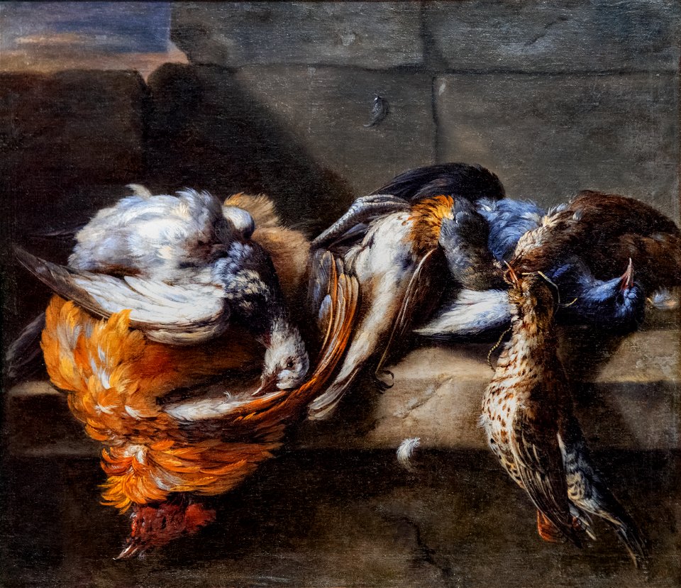 Beaux-Arts de Carcassonne - Gibier de plumes sur un rebord de pierre - Nicasius Bernaerts Joconde04400000322