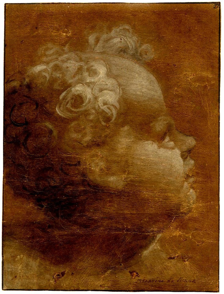 Beccafumi - Head of a child looking up, in profile to right Brush ...