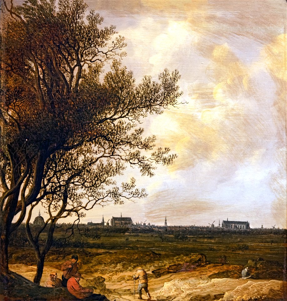 Beaux-Arts de Carcassonne - Vue de la ville de Leyde - Anthonie Jansz. van der Croos - Joconde04400000282