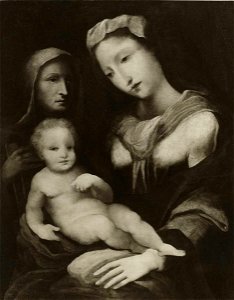 Beccafumi - Madonna con Bambino e santa, Collezione B. Sanminiatelli