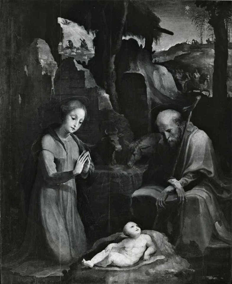Beccafumi - Natività di Gesù, Museo Diocesano
