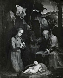 Beccafumi - Natività di Gesù, Museo Diocesano