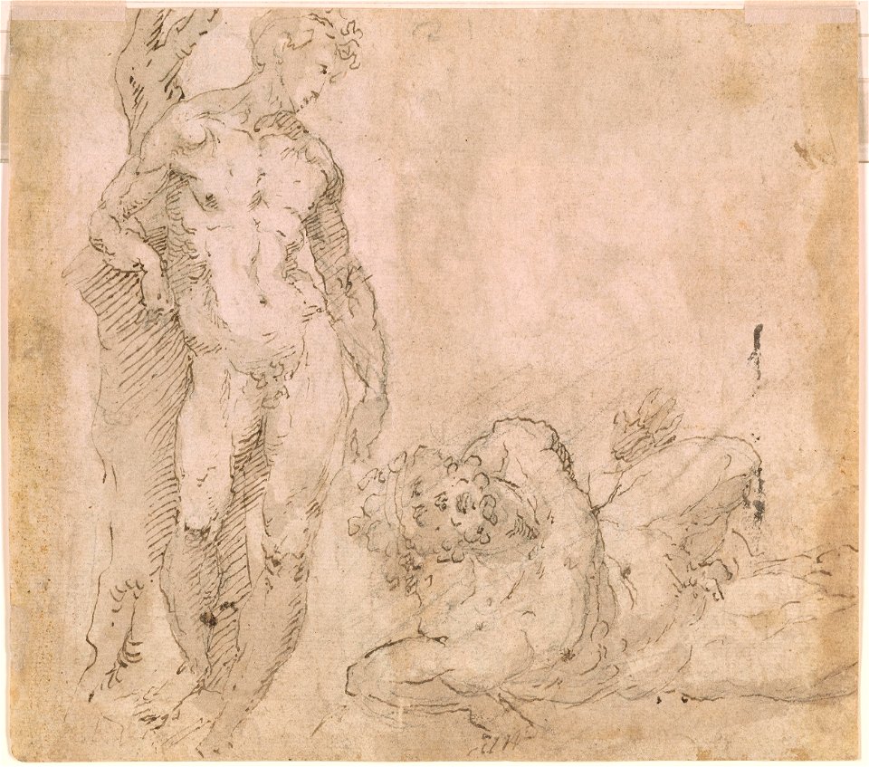 Beccafumi - Verso Male Nude Leaning Against a Tree Trunk and a Reclining Male Nude with Head Thrown Back, ca. 1530-1540