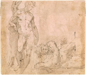 Beccafumi - Verso Male Nude Leaning Against a Tree Trunk and a Reclining Male Nude with Head Thrown Back, ca. 1530-1540