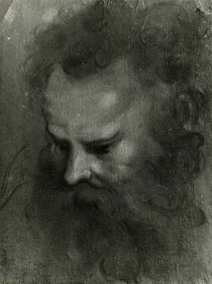 Beccafumi - Testa di Giona, inv. 51