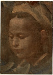 Beccafumi - Head of a Young Woman, 1527–37