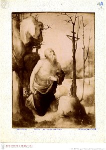 Beccafumi - Büßender Hieronymus, Inventar-Nr. 166