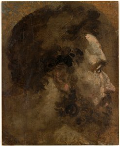 Beccafumi - Head of a Bearded Man in Profile to the Right, ca. 1530-1535