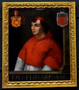 Beaux-Arts de Narbonne - Jules de Médicis 01