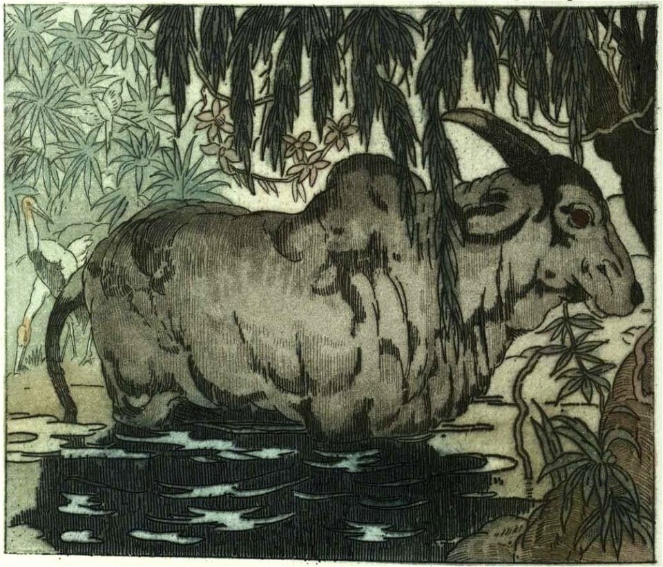 Becque - Livre de la jungle, p94